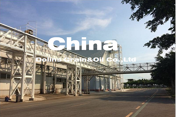 180TPH散裝粕庫(kù)設(shè)備及其棧橋、塔架安裝項(xiàng)目?